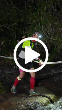 BIB:  <button type="button" onclick="openModal(27709287)" class="btn btn-primary btn-sm float-right" data-toggle="modal" data-target=".modal-high-quality">
                <i class="fa fa-download"></i> Download
                </button>